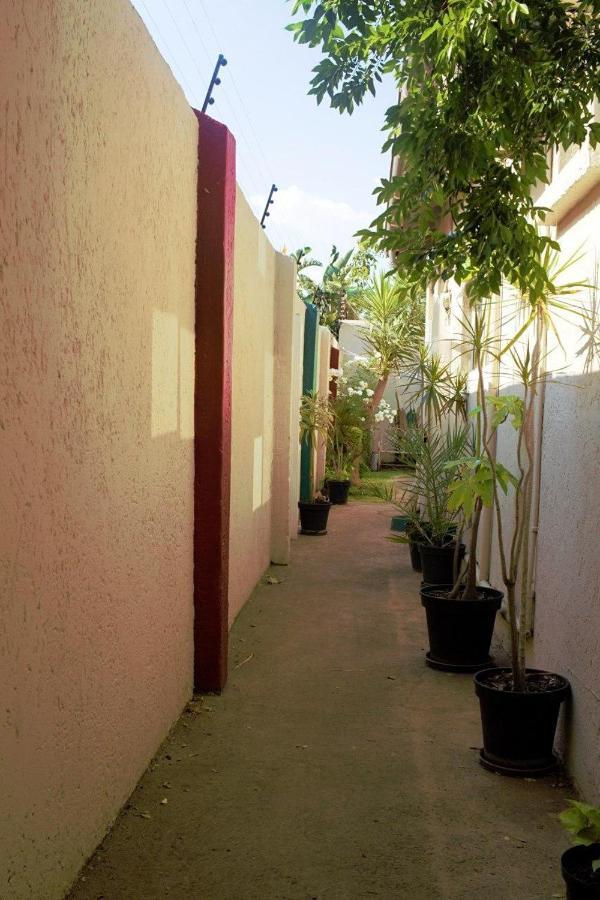 יוהנסבורג Houghton Guest House מראה חיצוני תמונה